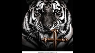The Tiger's Den