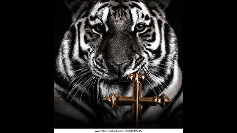 The Tiger's Den