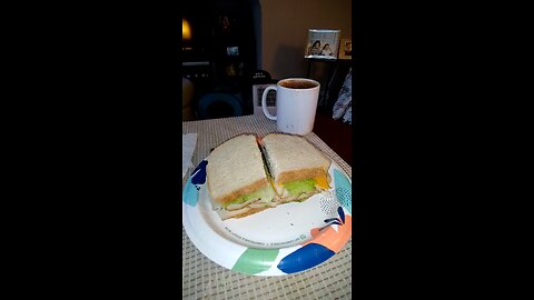 Eating Oscar Meyer Deli Fresh Smoked Turkey Breast, Dbn, MI, 9/15/25
