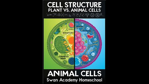 Cell Structure and Function: Plant vs. Animal Cells