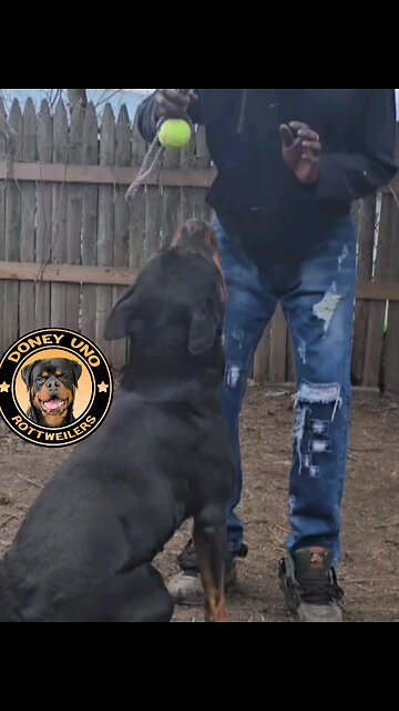 Doneyuno Evangeline-Doneyuno