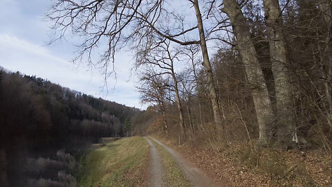 Morning River Rambles | Peaceful POV Walk with Chirping Birds & Flowing Waters