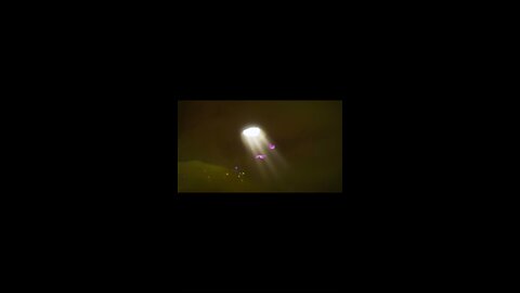 cute animation video