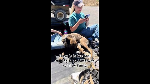 Freya is going home