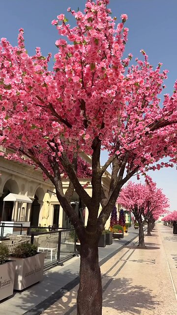 Katara 21 high street