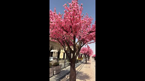 Katara 21 high street