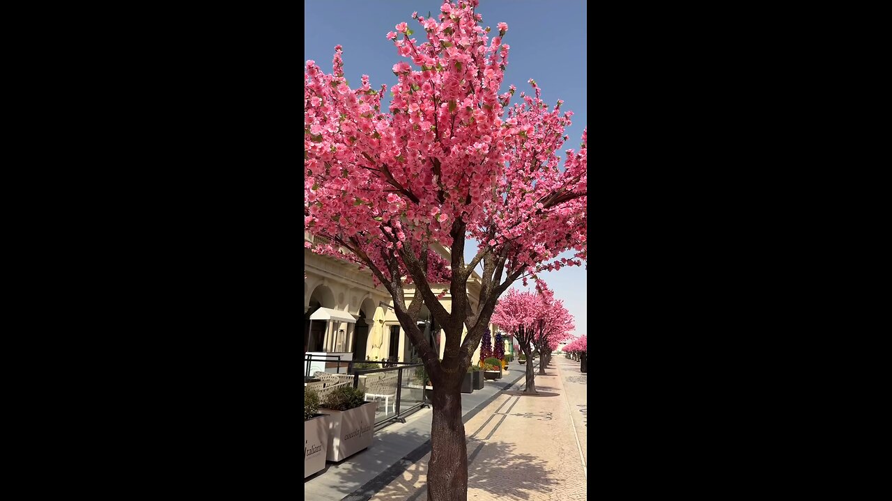 Katara 21 high street