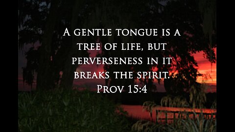 A Gentle Tongue And A Gentle Spirit
