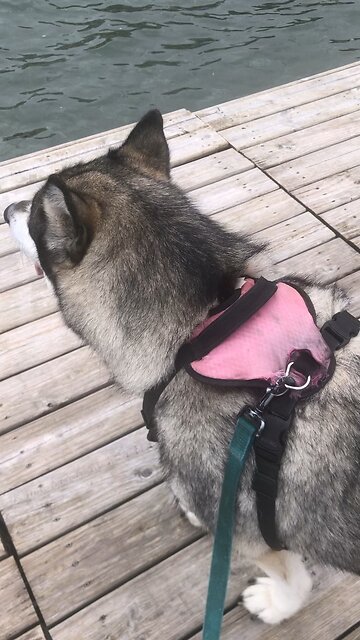 Thursday June 26, David got out of bed after taking a nap.