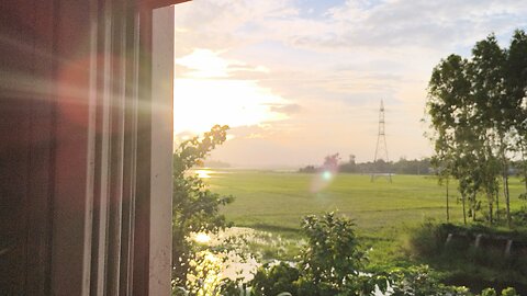 #nature view