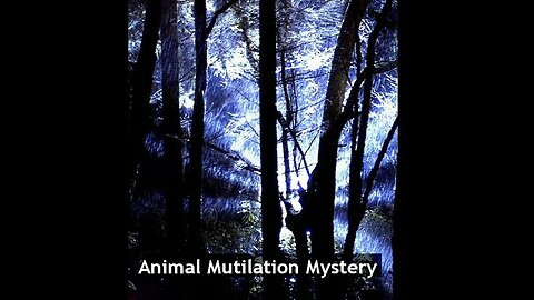 Animal Mutilation Mystery (2019) [Richplanet TV Show 272]
