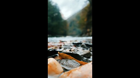 Some video graphy