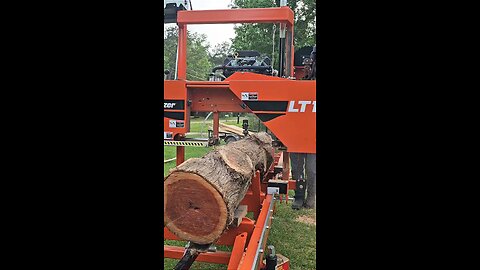 Sawing Cedar to Build Hope!