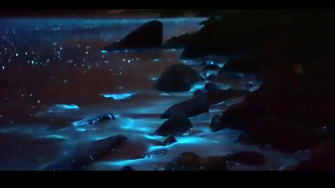 HELP FOR OUR HEALING - DAILY DEVOTIONAL ❤️