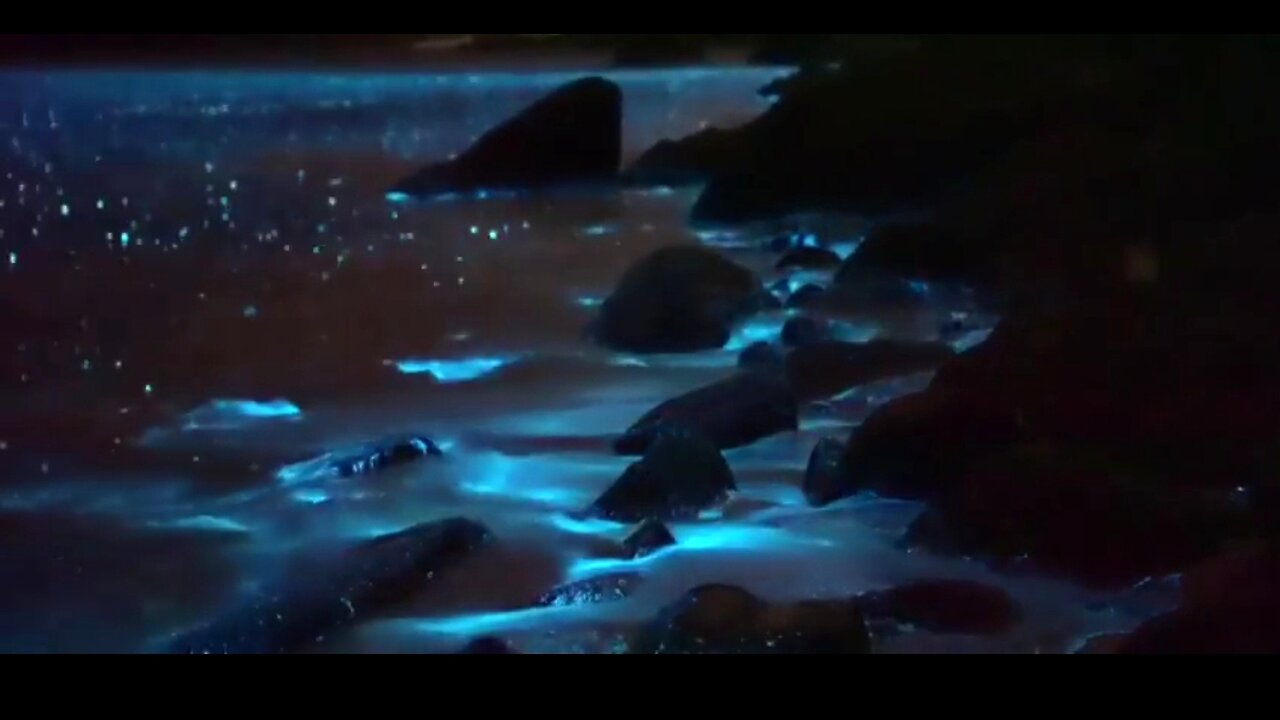 HELP FOR OUR HEALING - DAILY DEVOTIONAL ❤️