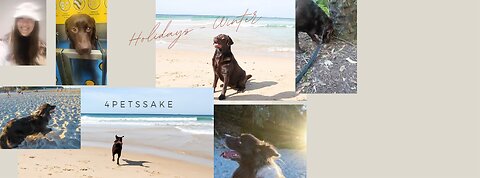 Winter holidays snapshot petcare