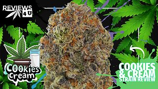COOKIES & CREAM (STRAIN REVIEW) | REVIEWS 4 U