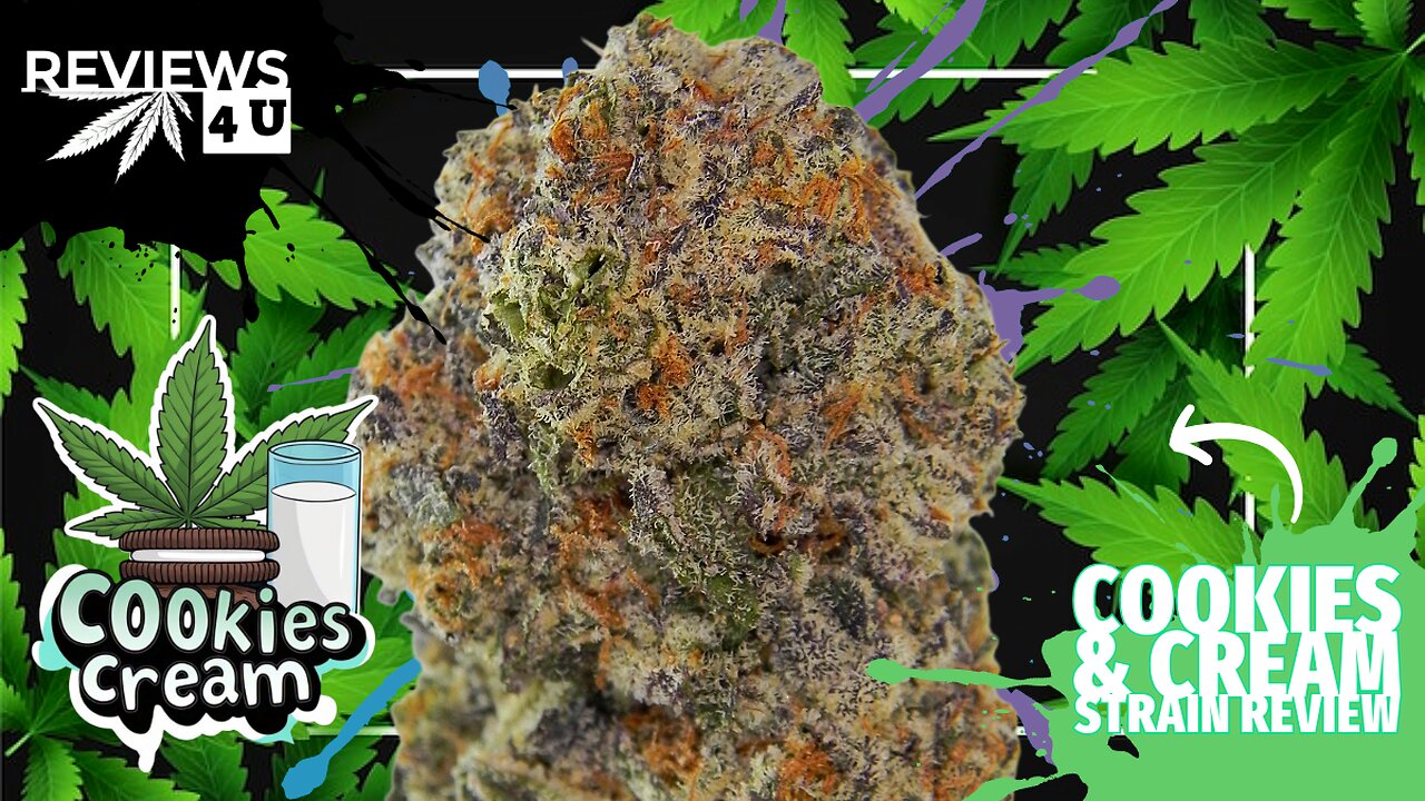 COOKIES & CREAM 🍪🥛(STRAIN REVIEW) | REVIEWS 4 U