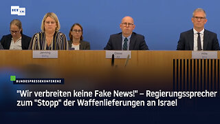 "Wir verbreiten keine Fake News!" – Regierungssprecher zum "Stopp" der Waffenlieferungen an Israel