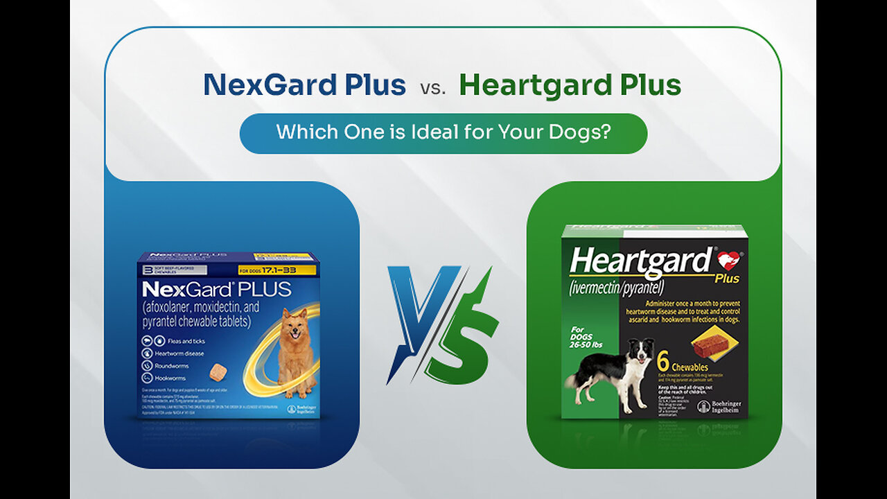 Nexgard Plus vs Heartgard Plus: Which One is Ideal for Your Dogs?