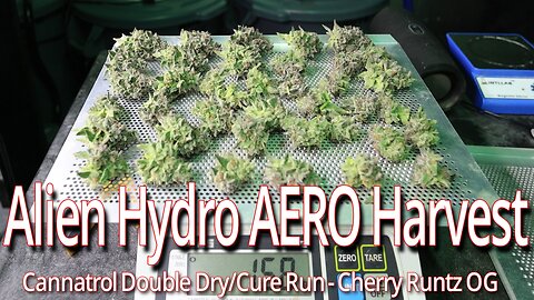 Alien Hydro Aero End Of Run, Cannatrol Dry/Cure For Cherry Runtz OG