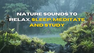 Nature Sounds to relax, sleep, meditate and study