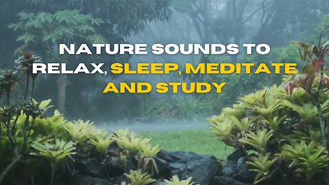 Nature Sounds to relax, sleep, meditate and study