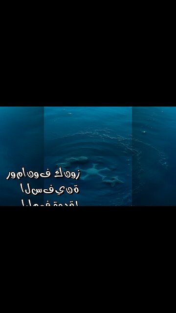 كنوز آل رومانوف: أين اختفت السفينة الغارقة؟ ️