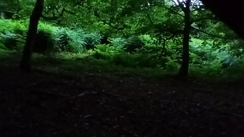 050725, freezing, #morning ,after the storm,