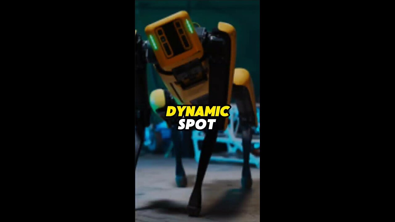 Machine's Best Friend