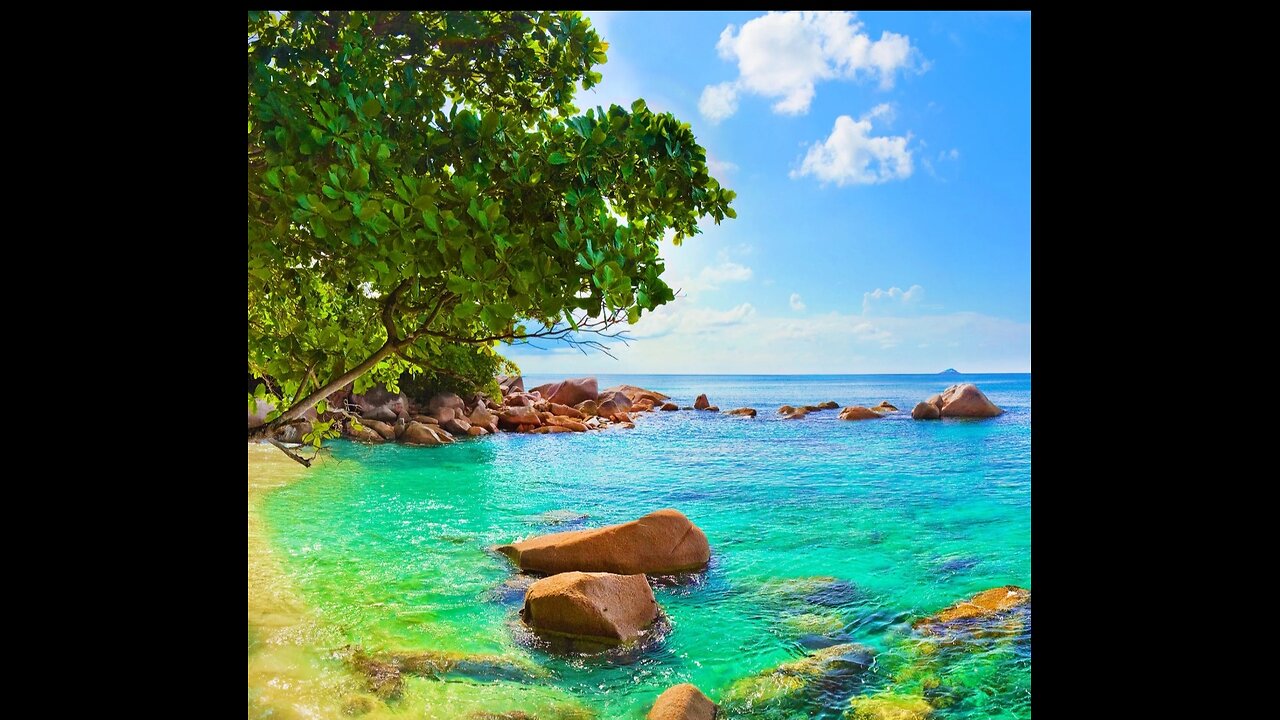 Making dinner 🍽️