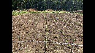Homestead updates.