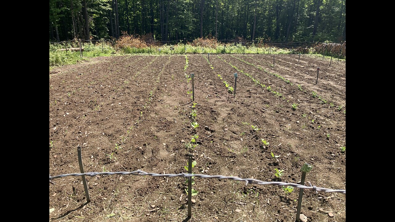Homestead updates.