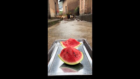 Today's lunch is watermelon.