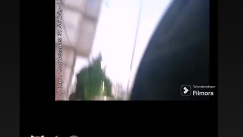 Momento en el que mi perro ladra a un hombre del África negra