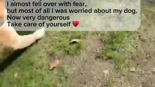 🚶‍🐶 Ukraine Russia War | Woman's Walk Interrupted by Russian Drone | RCF
