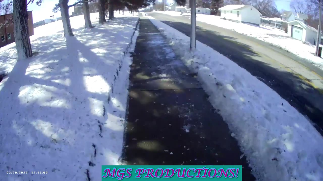 SPRING WALK (PART 2)