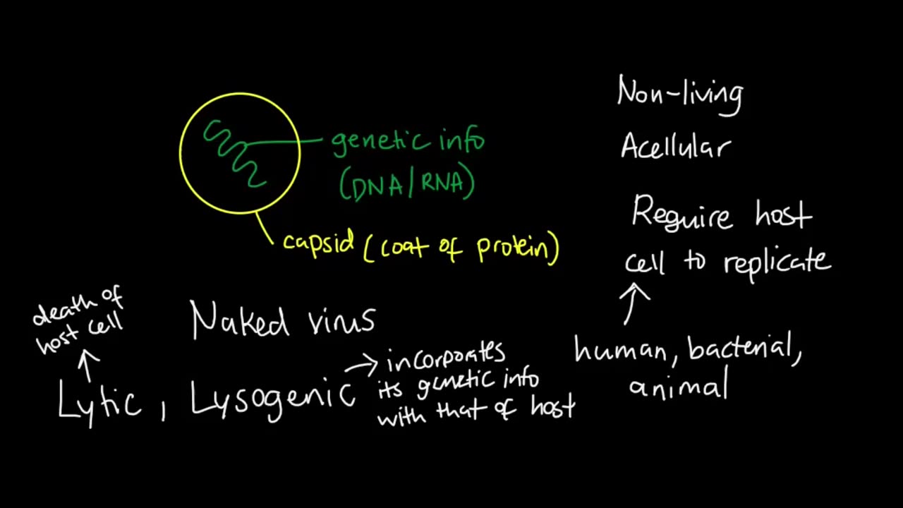 Quick Overview on Viruses