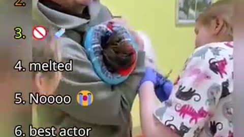 Ranking best dogs in vet moments