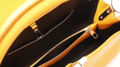 LOUIS VUITTON Capucine MM Handbag — NY Elizabeth Auctions Live