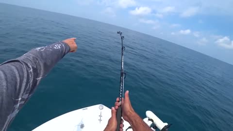 pesca a pesci grossi o big fish, parte 2, hammer shark o grande squalo martello_part16