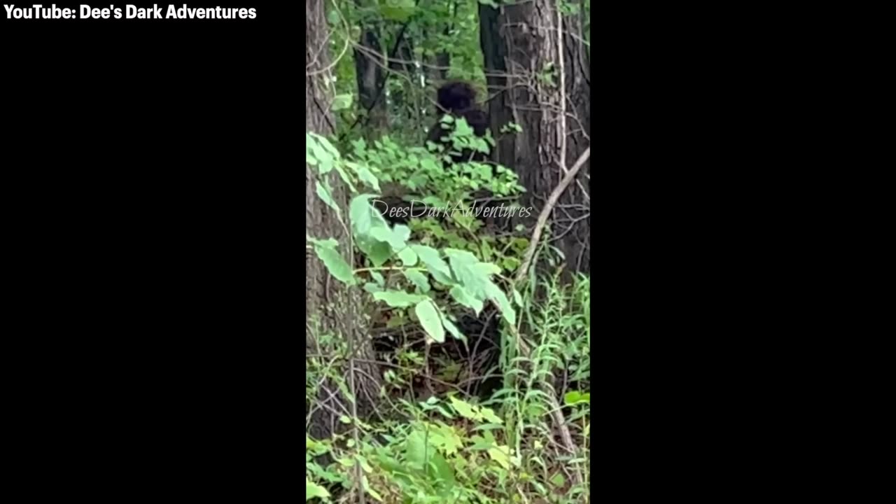 30 SCARIEST Hiking Encounters Caught On Camera