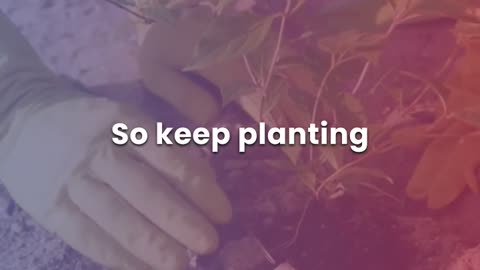 Plant the Tree | Build the Life Future You Deserves 🌱