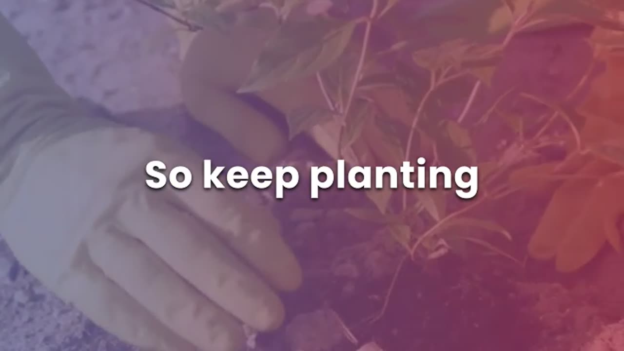Plant the Tree | Build the Life Future You Deserves 🌱