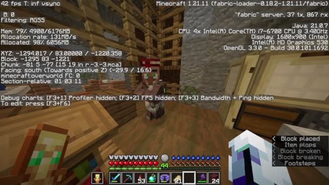 Minecraft Tough as Nails 7