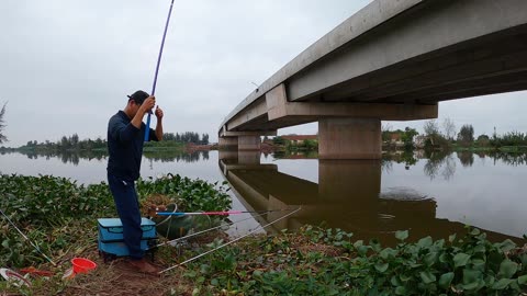 Vlog Fishing for Carp in a Scenic River Spot