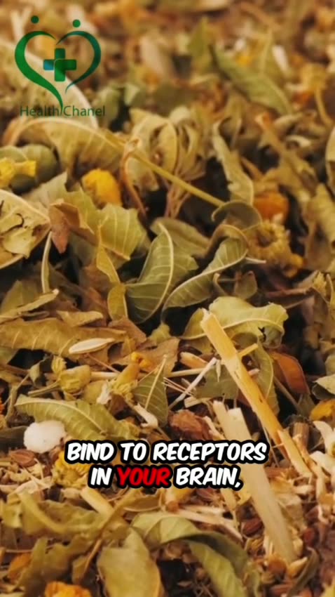 Do Detox Diets Really Cleanse Your Body? | The Truth About Detoxing & Your Health