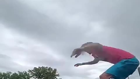 TENTE NÃO RIR