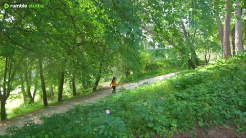 Hot summer of 34°C, relaxing with your dog while listening to the cool sound of the valley water
