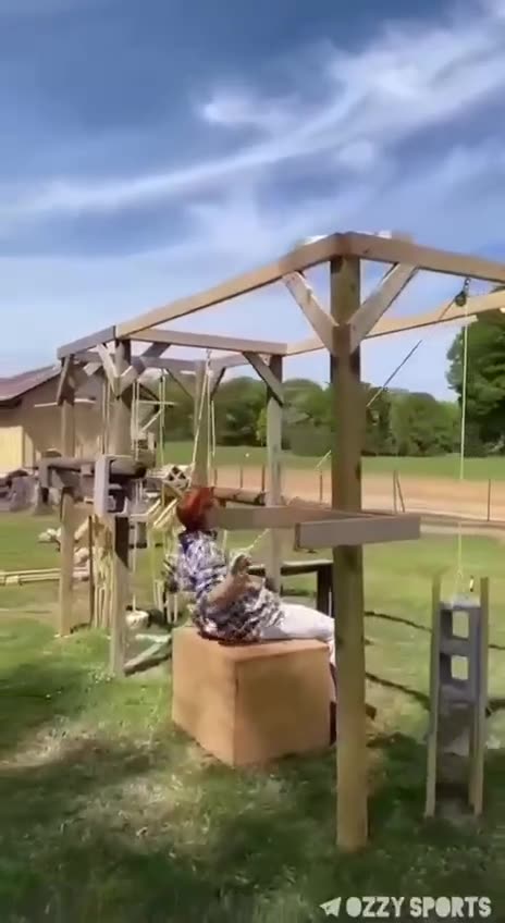 Who Needs Gold's Gym?!